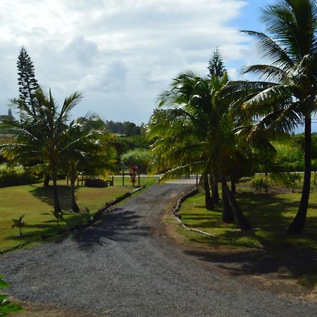 God'S Peace Of Maui Bed & Breakfast Makawao ห้อง รูปภาพ