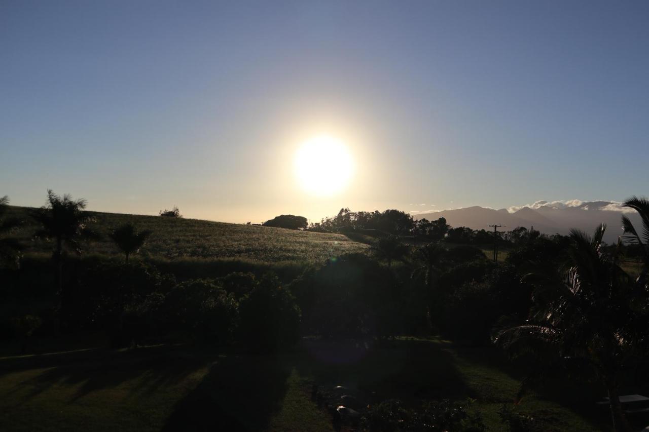 God'S Peace Of Maui Bed & Breakfast Makawao ภายนอก รูปภาพ