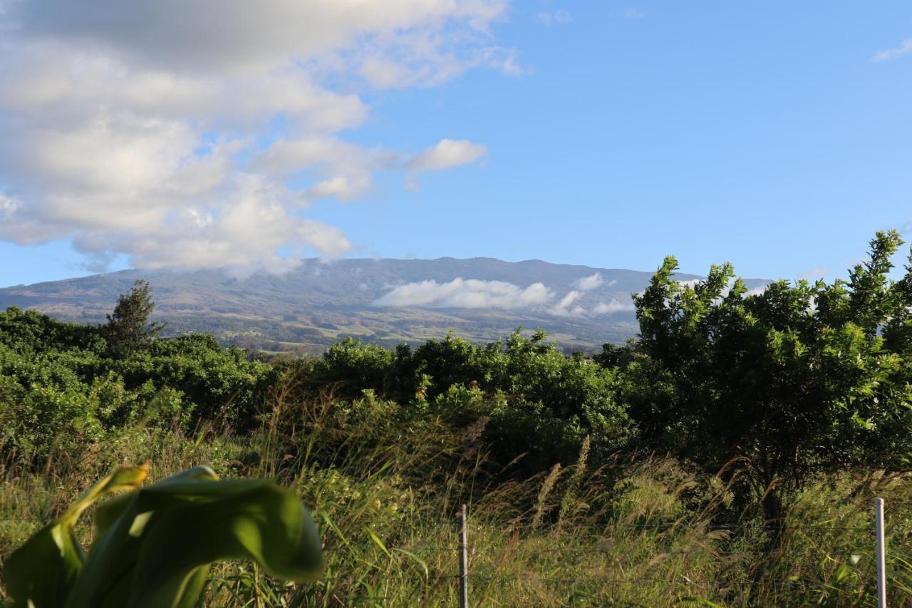 God'S Peace Of Maui Bed & Breakfast Makawao ภายนอก รูปภาพ