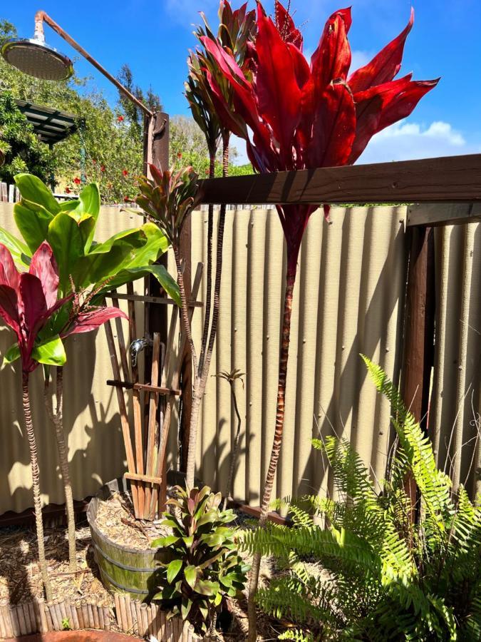 God'S Peace Of Maui Bed & Breakfast Makawao ภายนอก รูปภาพ