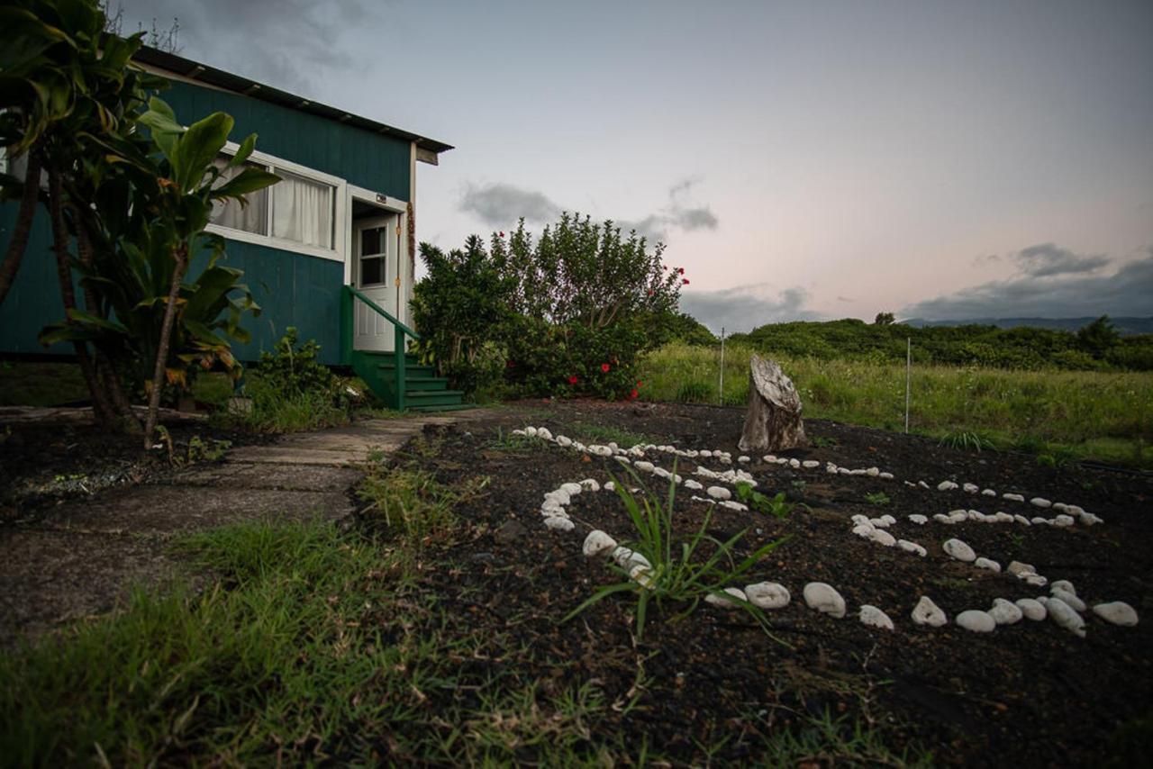 God'S Peace Of Maui Bed & Breakfast Makawao ภายนอก รูปภาพ