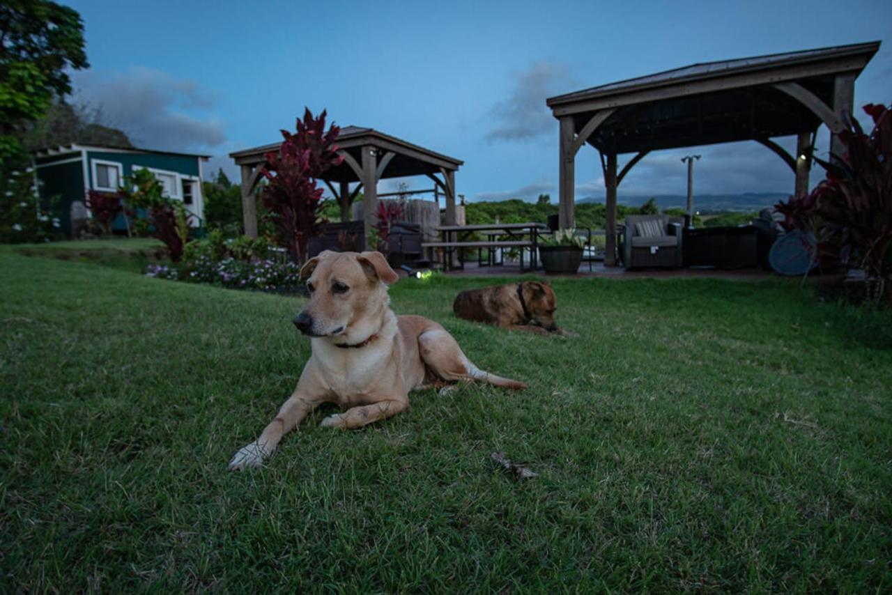 God'S Peace Of Maui Bed & Breakfast Makawao ภายนอก รูปภาพ
